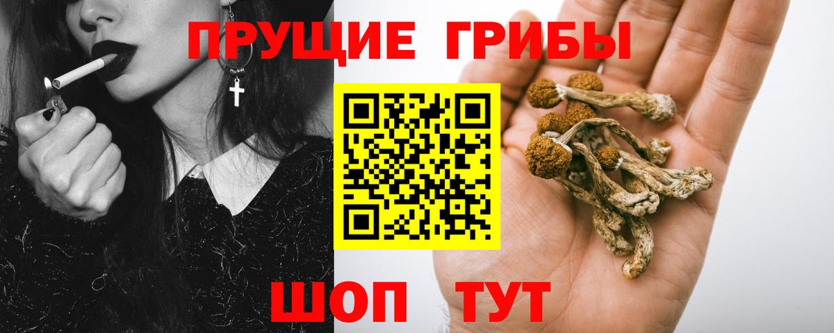 Псилоцибиновые грибы Psilocybe Учалы